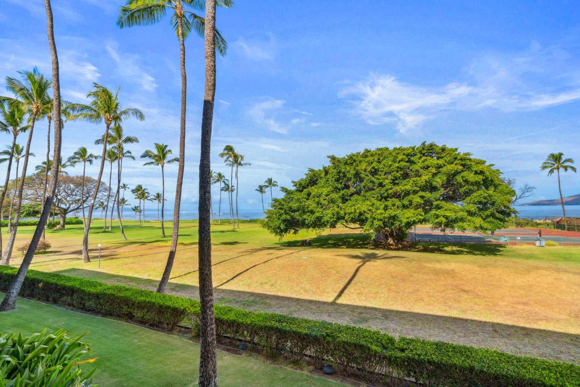 Maui Schooner Resort Кіхеї Екстер'єр фото