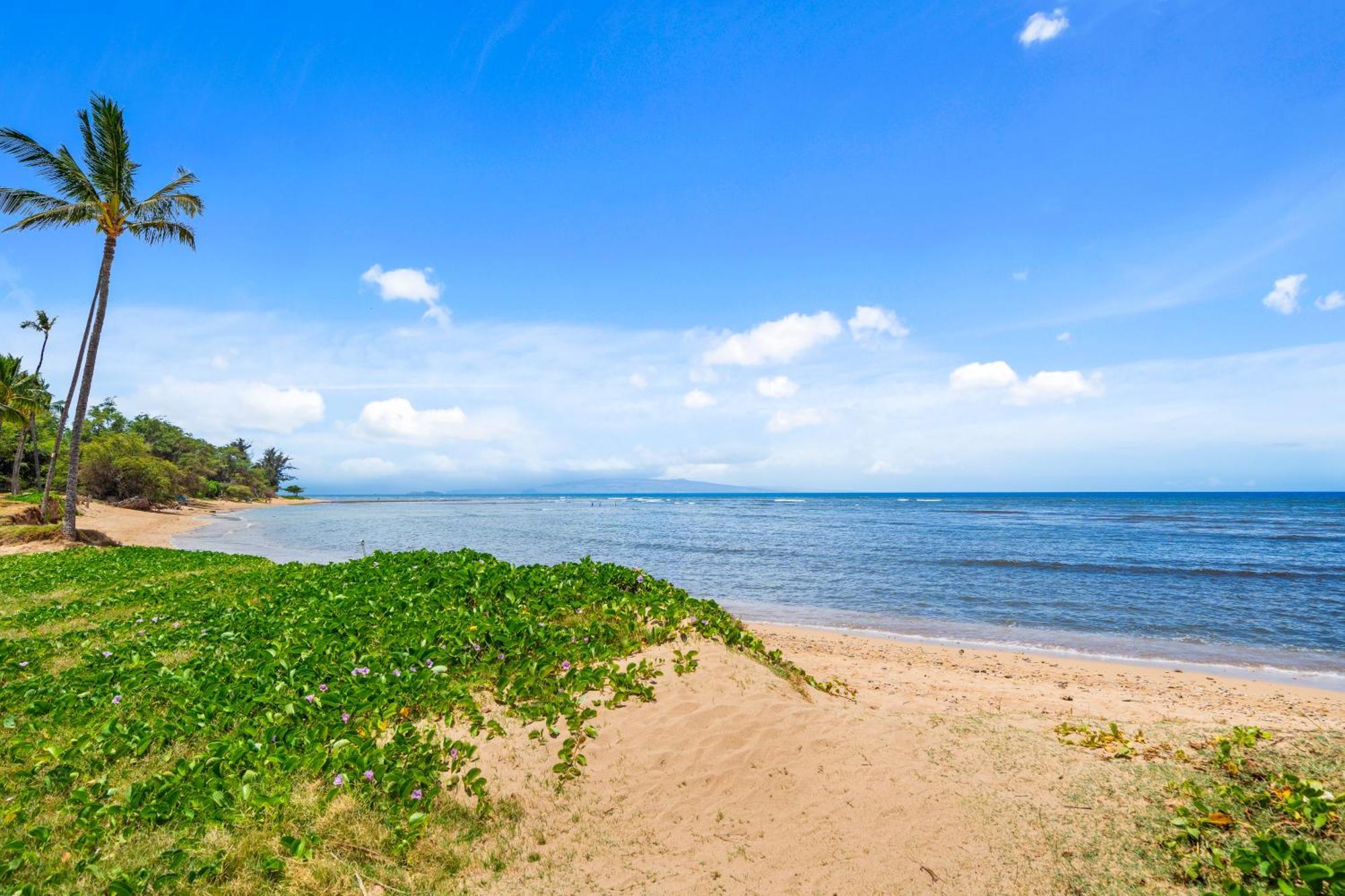 Maui Schooner Resort Кіхеї Екстер'єр фото